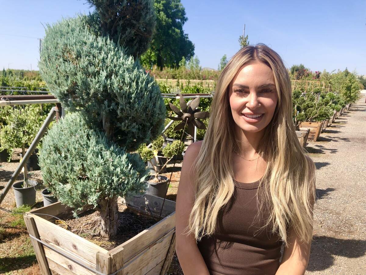 Danielle DePrima, operator of Willow Gardens Nursery, announced this week that the plant nursery would be closing with the business’ land lease set to expire at the end of the 2026 calendar year. Willow Gardens Nursery was founded by DePrima’s grandparents, John and Nancy, and has been around for 50-plus years.